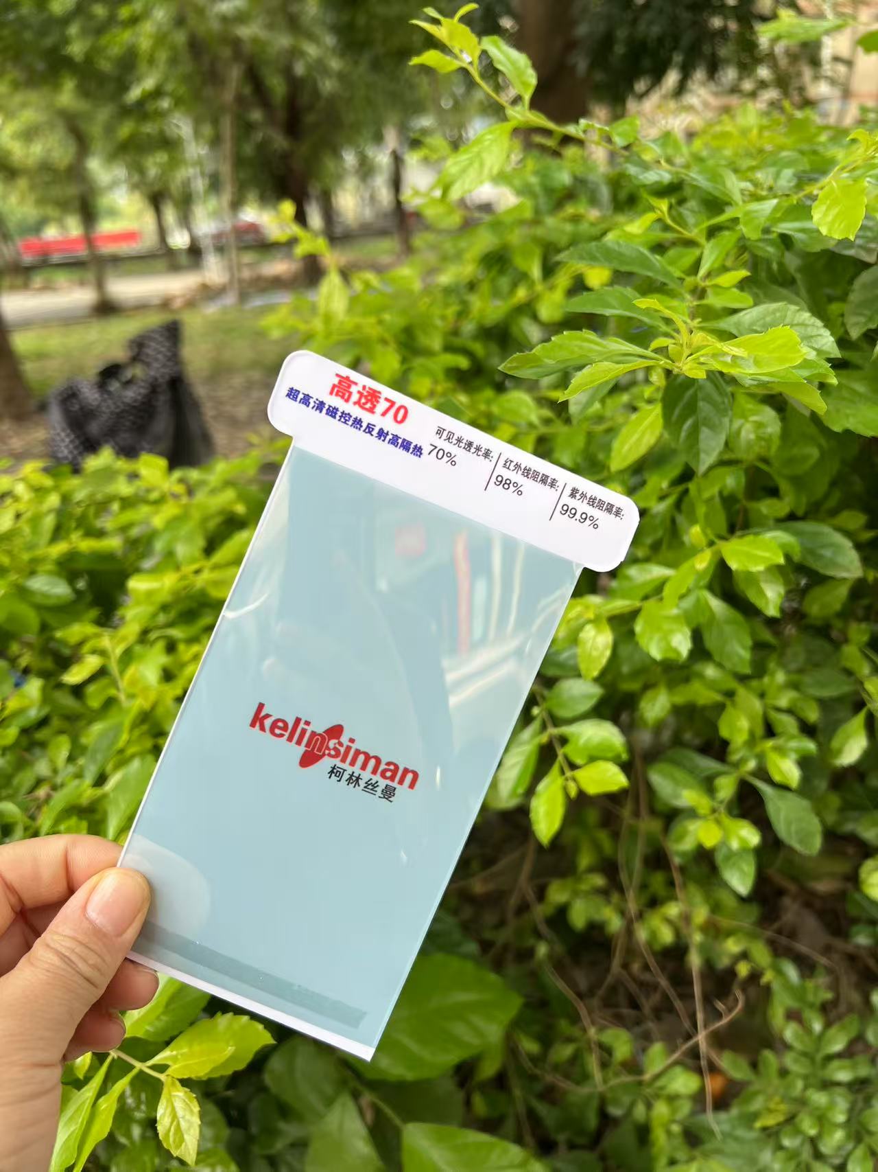70.jpg